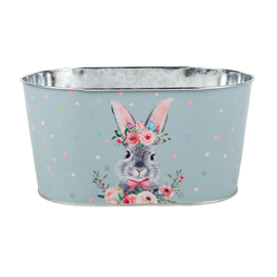 Themen: Bucket Rabbit