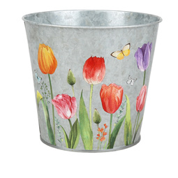 Themen: Bucket tulips